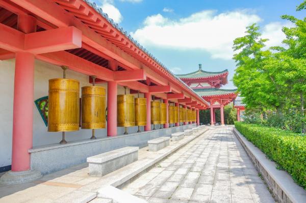 山东龙口五月自驾游，轻松惬意三天两夜，适合带孩子家庭游