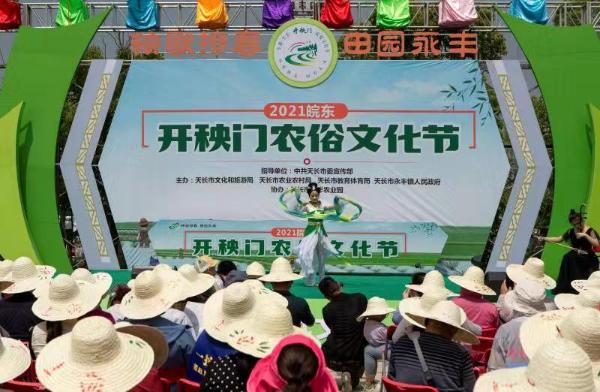 皖东“开秧门” 田头乐融融