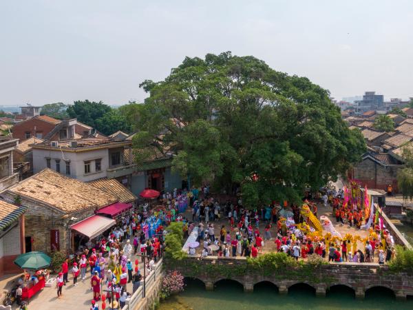 500年东莞“茶园游会”，近40项非遗展魅力