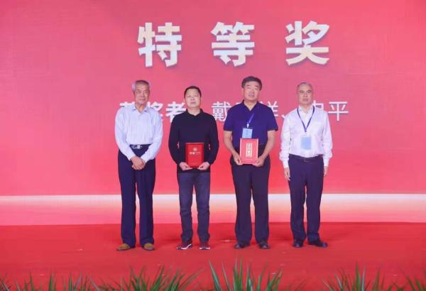 第七届武陵国际微小说节颁发的三项大奖是什么？