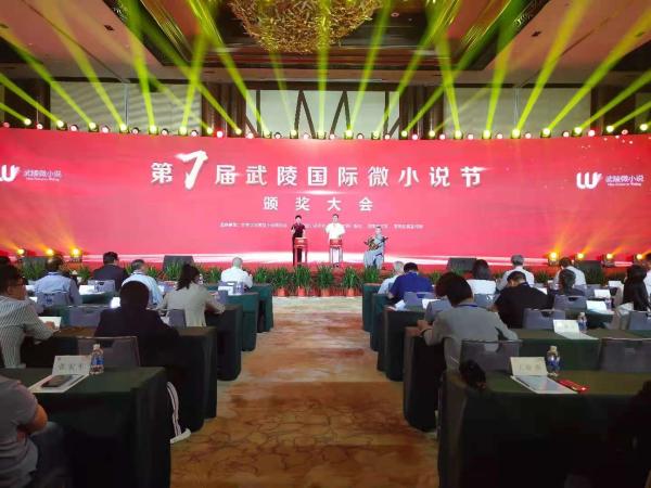 第七届武陵国际微小说节颁发的三项大奖是什么？