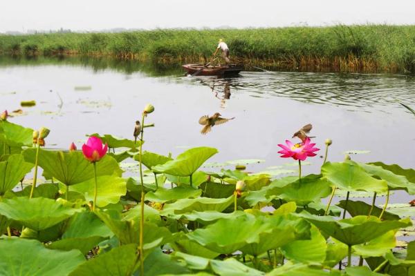 河北旅游主题MV《这么近那么美》清新发布