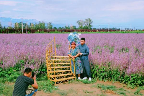 以花为媒，以节会友：新疆温泉县“五味俱全”促乡村旅游振兴