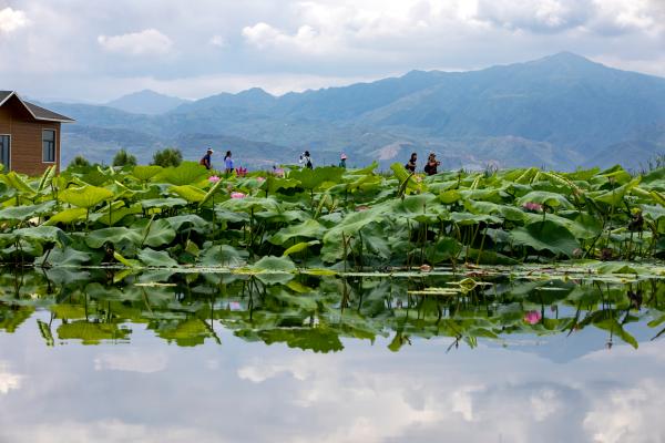 “清凉古都 消夏大同”山西大同首届全域旅游季启动