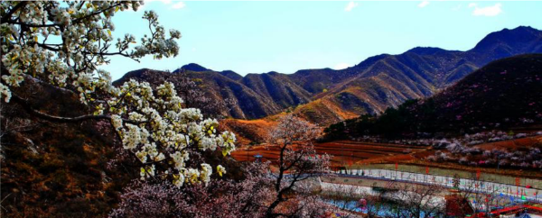 追寻最绚丽的“红” | “秀美山川风情之旅” 小平房美丽乡村线路