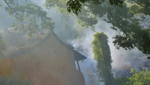 高舜礼：松阳何以成为最具魅力的美丽乡村