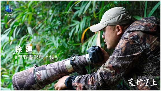 用镜头拥抱自然 用荒野致敬生命
