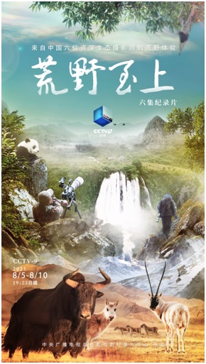 用镜头拥抱自然 用荒野致敬生命