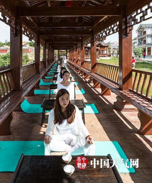 蓝天白云美女靓 六盘水万亩茶叶香