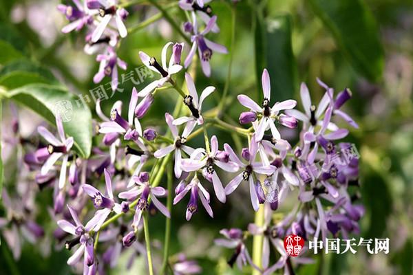 周末北方升温猛烈 多地气温创今年新高