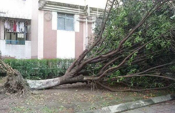 四川多地遭强对流天气交通受阻 未来三天仍多雷雨
