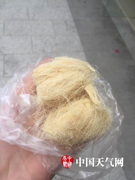 网友六一晒童年 满屏年代感