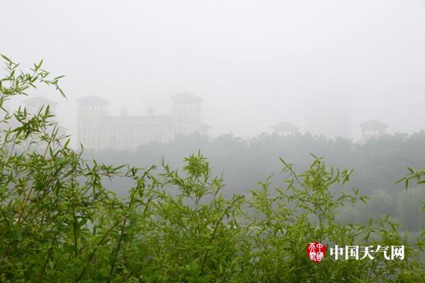 山东潍坊大雾压城 能见度不足50米