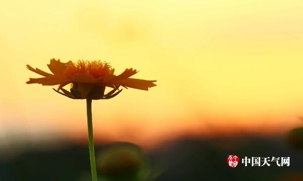 四川广安美丽黄昏 夕阳衬晚霞