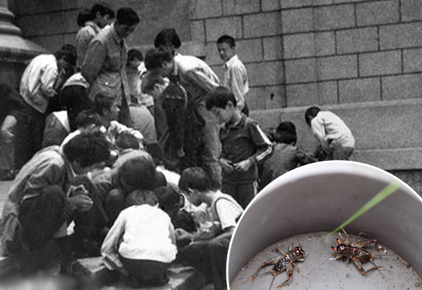 【浓夏盘点】40张图唤起80后童年记忆