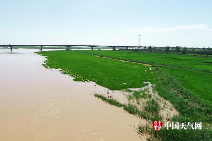 黄河宁夏段暴雨后出现漫滩，沿河大片农田被淹