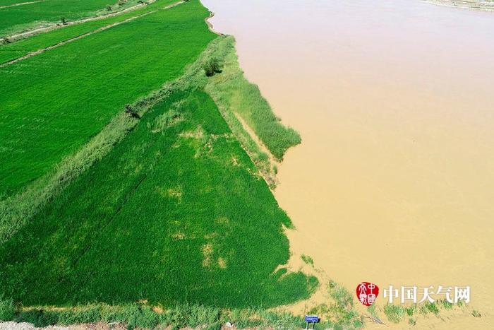 黄河宁夏段暴雨后出现漫滩，沿河大片农田被淹