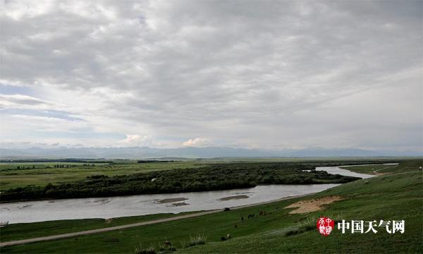 “应对气候变化·记录中国”走进新疆昭苏特克斯河湿地