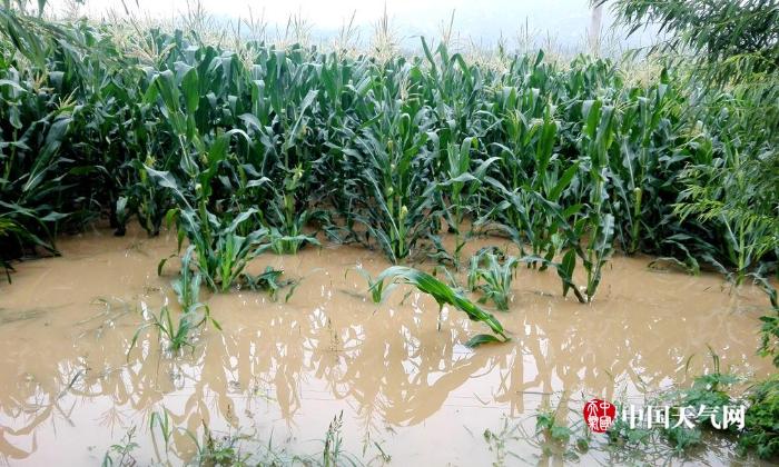 辽宁遭遇强降雨局地大暴雨 多地道路冲毁农田被淹