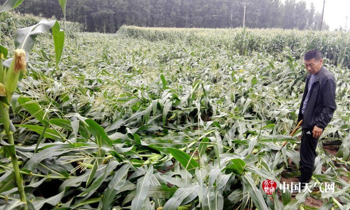 辽宁遭遇强降雨局地大暴雨 多地道路冲毁农田被淹