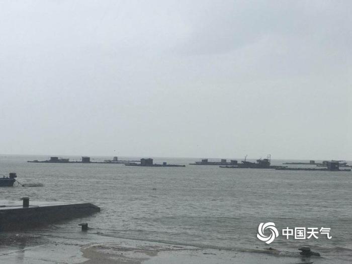 “贝碧嘉”影响广东湛江 码头停航货车滞留