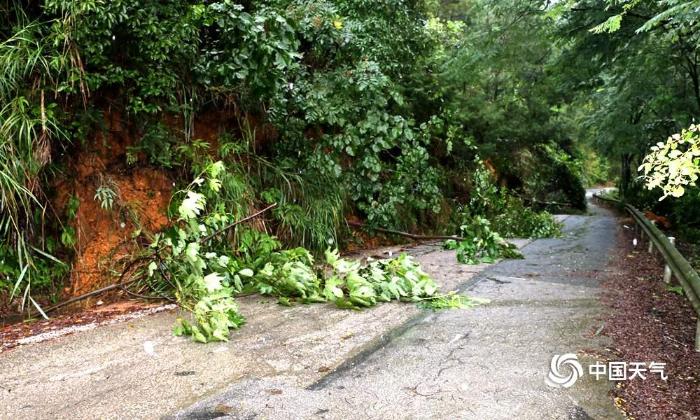 广西局地大暴雨 山体滑坡洪灾淹没农田厂棚