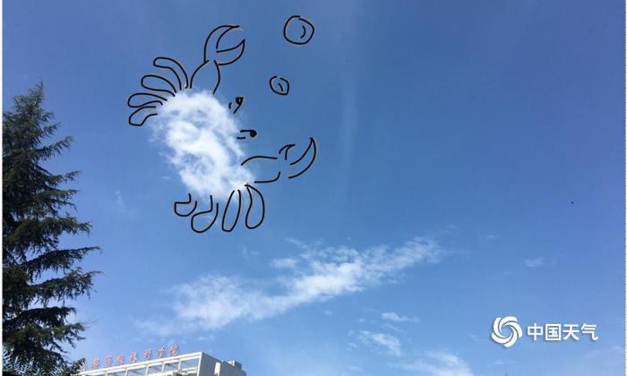 蓝天作画板 画出成都国庆节前的好天气