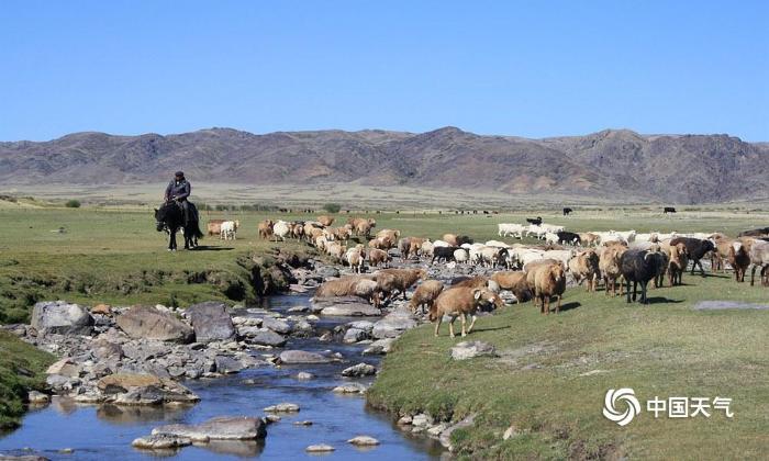 新疆将迎冷空气 牧民转场送温暖