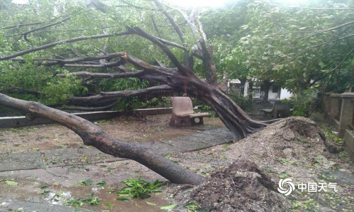 广东多地遭受台风“山竹”的重创