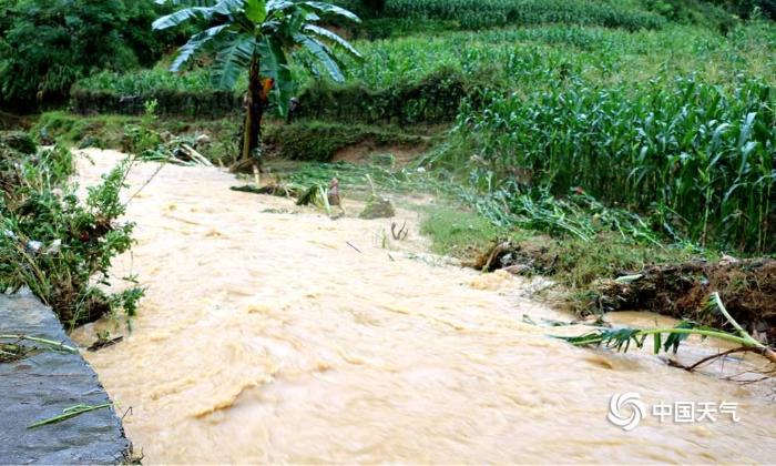 广西局地大暴雨 山体滑坡洪灾淹没农田厂棚