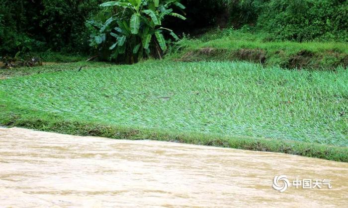 广西局地大暴雨 山体滑坡洪灾淹没农田厂棚