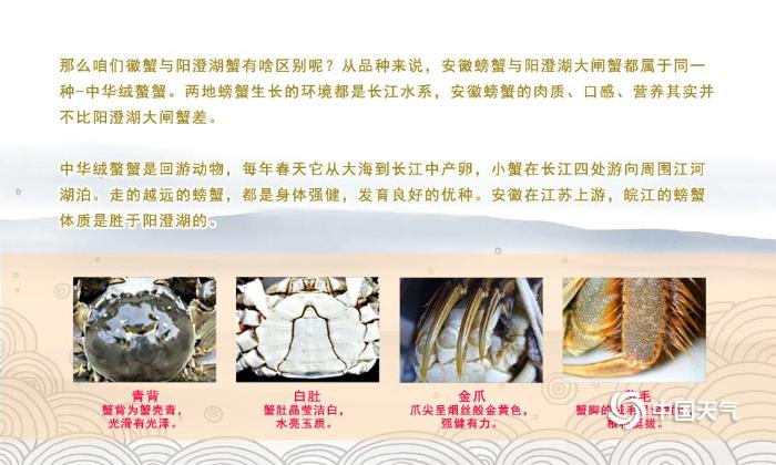 美食地图——蟹味安徽