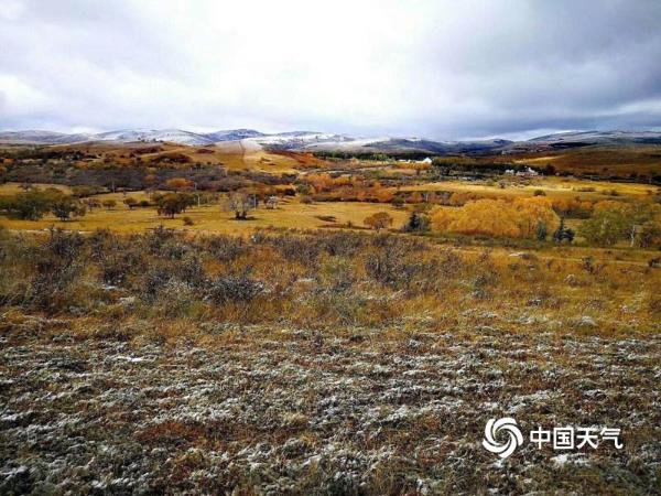 金色“空中牧场”——正蓝旗草原