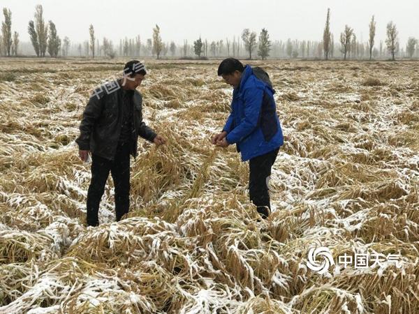 新疆北部降雪局地积雪超60厘米 今明仍有雨雪天气