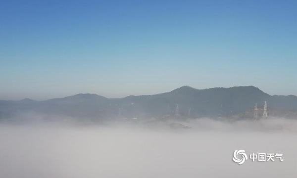 广西梧州现辐射雾美景 云雾弥漫宛如仙境