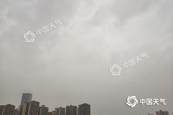 重庆大雾阻交通周末仍有阴雨 下周一起迎久违阳光