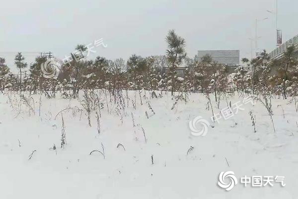 黑龙江降雪致道路结冰交通受影响 明天雪停气温升