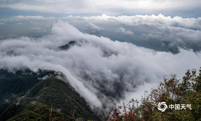 重庆南川金佛山云海如梦如幻 美不胜收