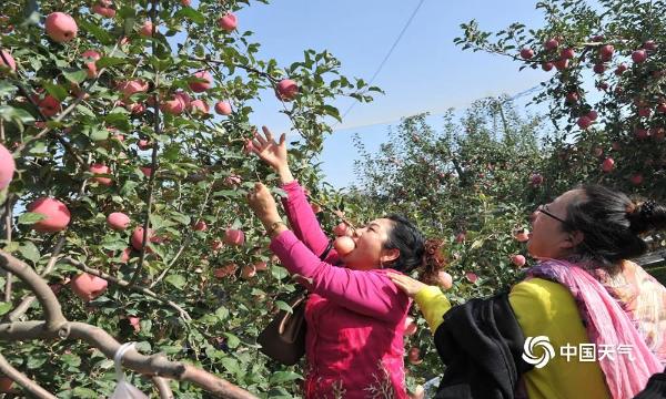 陕西洛川大塬上的大美画卷