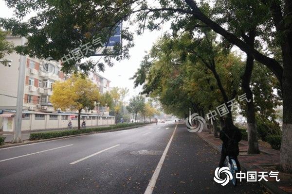 秋雨润津城空气质量转好 明晨有雾注意出行安全