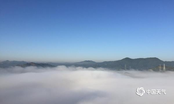 广西梧州现辐射雾美景 云雾弥漫宛如仙境