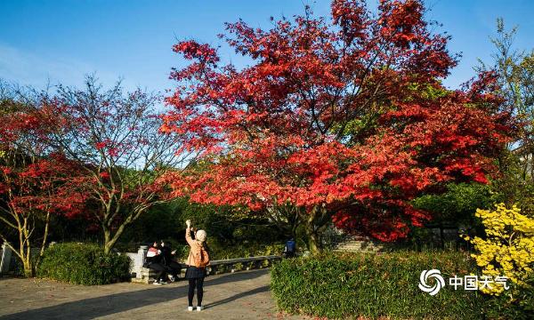 贵州大方秋色满古彝 美景醉游人