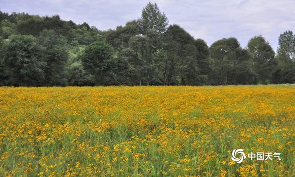 陕西洛川大塬上的大美画卷