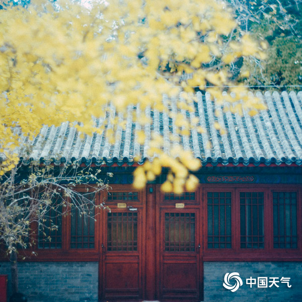 金秋美景大觉寺