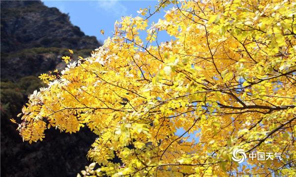 四川阿坝：秋天的童话松坪沟