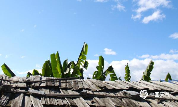 云南阿尼比云海  横断山脉澜沧江畔恬静清晨