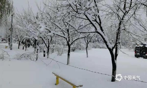 雪城牡丹江迎今冬首场大雪 降水量突破57年来极值
