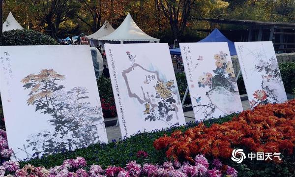 贵阳小车河 秋赏菊之美