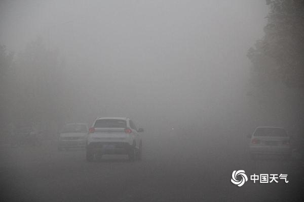 山东威海大雾锁城 能见度不足百米市民“摸索着前行”