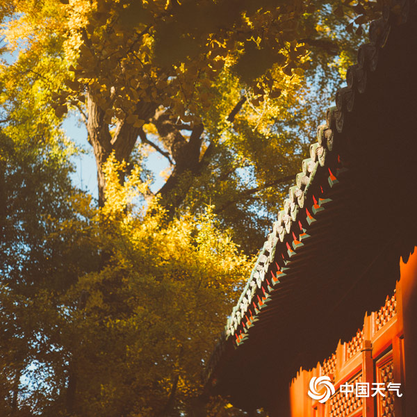 金秋美景大觉寺